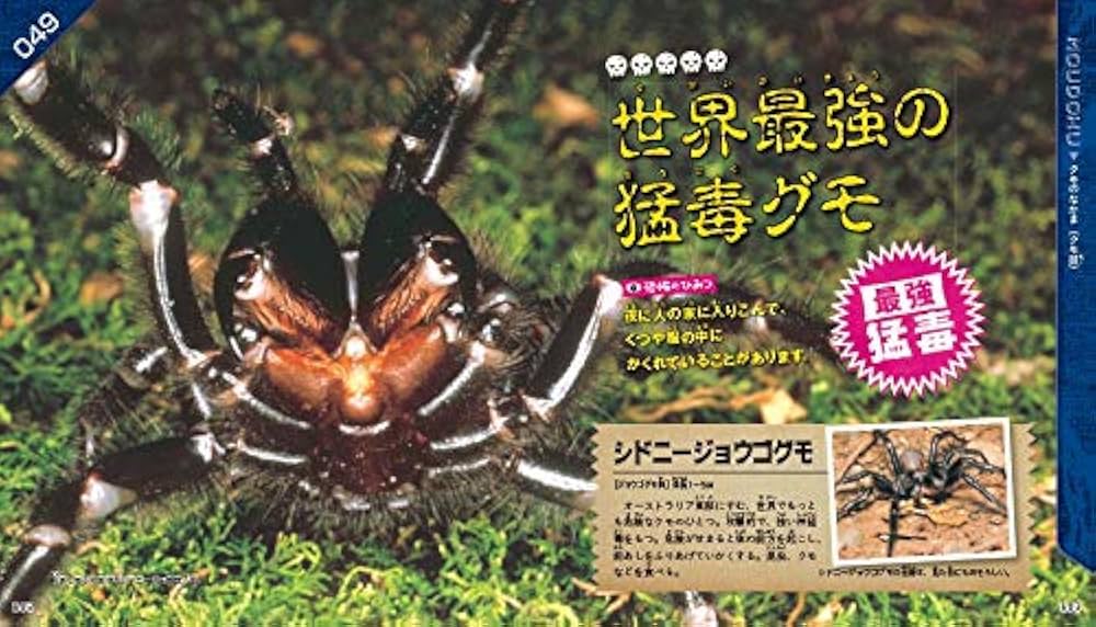 さわるな! 猛毒危険生物のひみつ100 (SG(スゴイ)100) | 今泉忠明